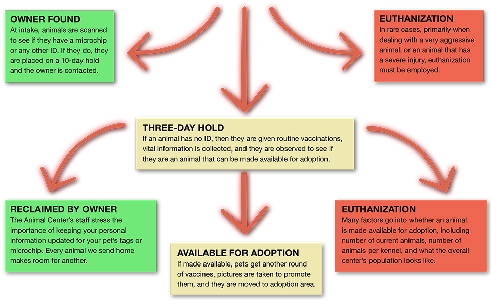 what happens now graphic