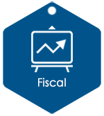 fiscal services icon