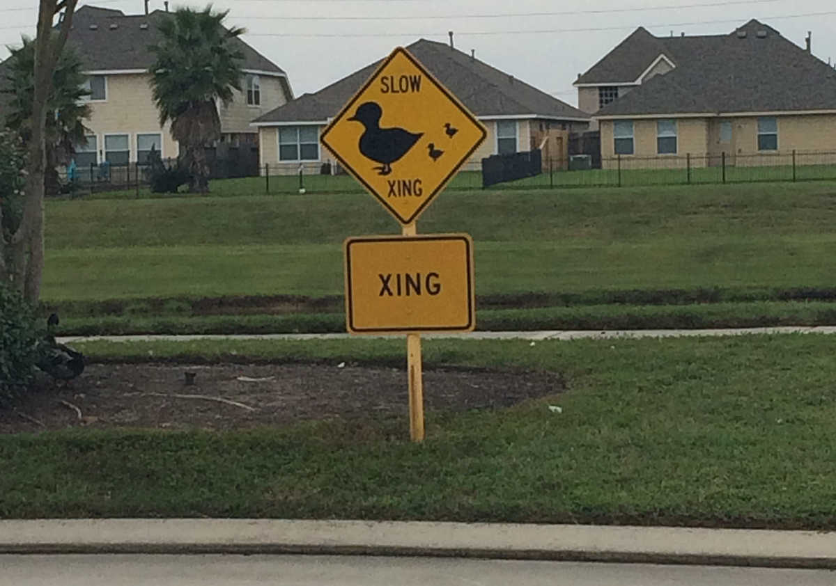 duck crossing traffic warning sign in Bryan, Texas